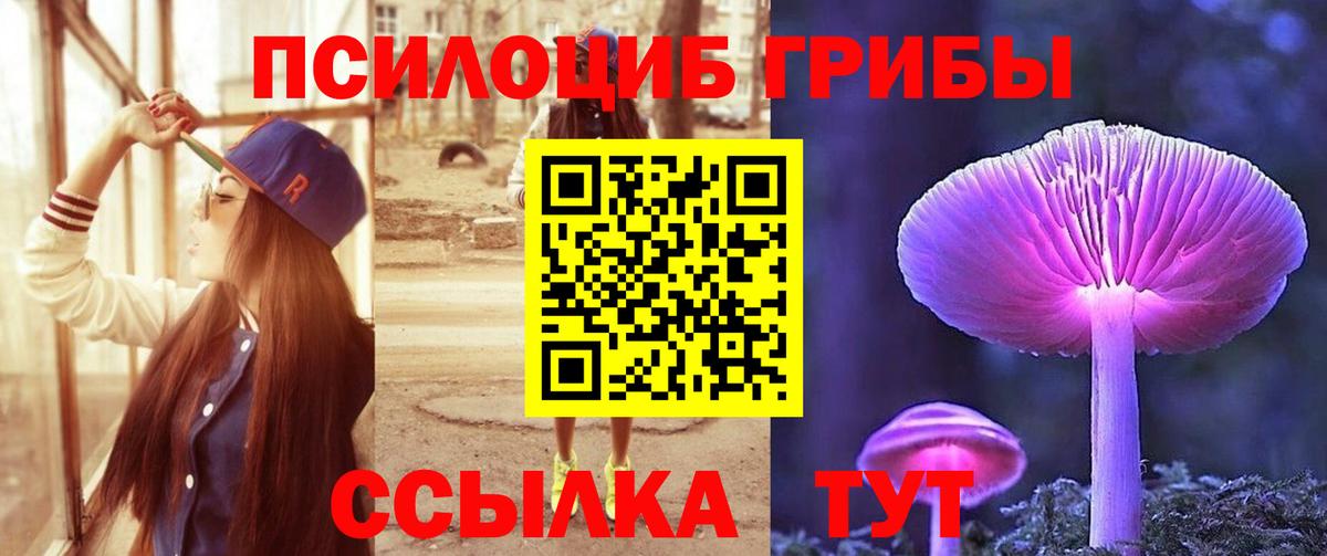 Псилоцибиновые грибы мицелий Истра